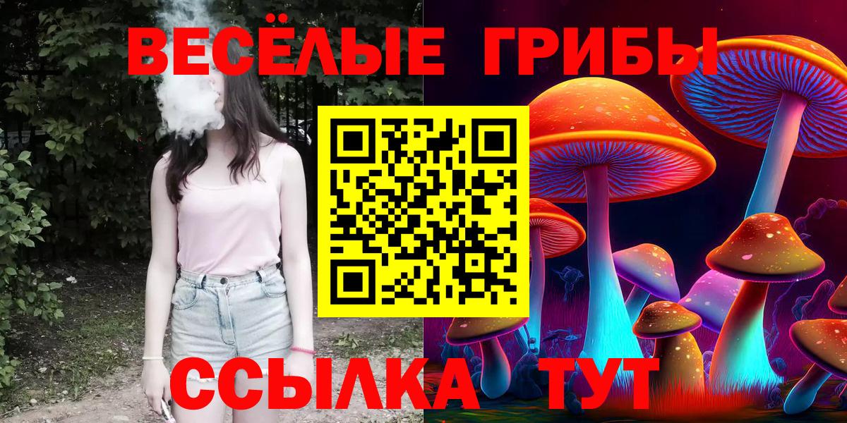 Псилоцибиновые грибы мицелий  где найти наркотики  Галлюциногенные грибы Cubensis  Киржач  Вход с VPN 